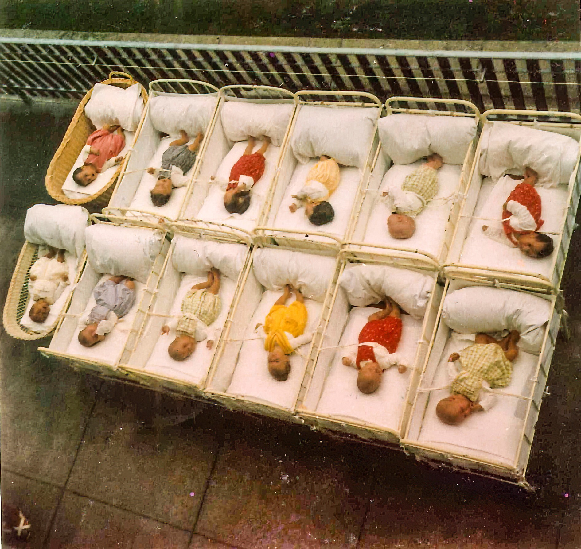 Fotografia a colori di dodici bambini piccoli distesi uno accanto all'altro nelle loro culle. I bambini sono legati e tra le culle sono stati tirati dei teli per impedire loro di vedersi. Scatto degli anni '60.