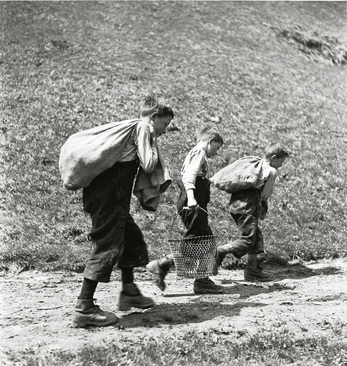 Fotografia in bianco e nero di tre ragazzi. Due trasportano sacchi di patate, uno porta un cesto metallico vuoto. Camminano su una strada di campagna. Scattata nel 1941 a Entlebuch, Romoos.